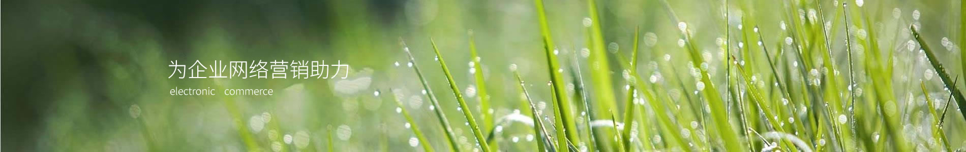 人캺Ҿ޹˾